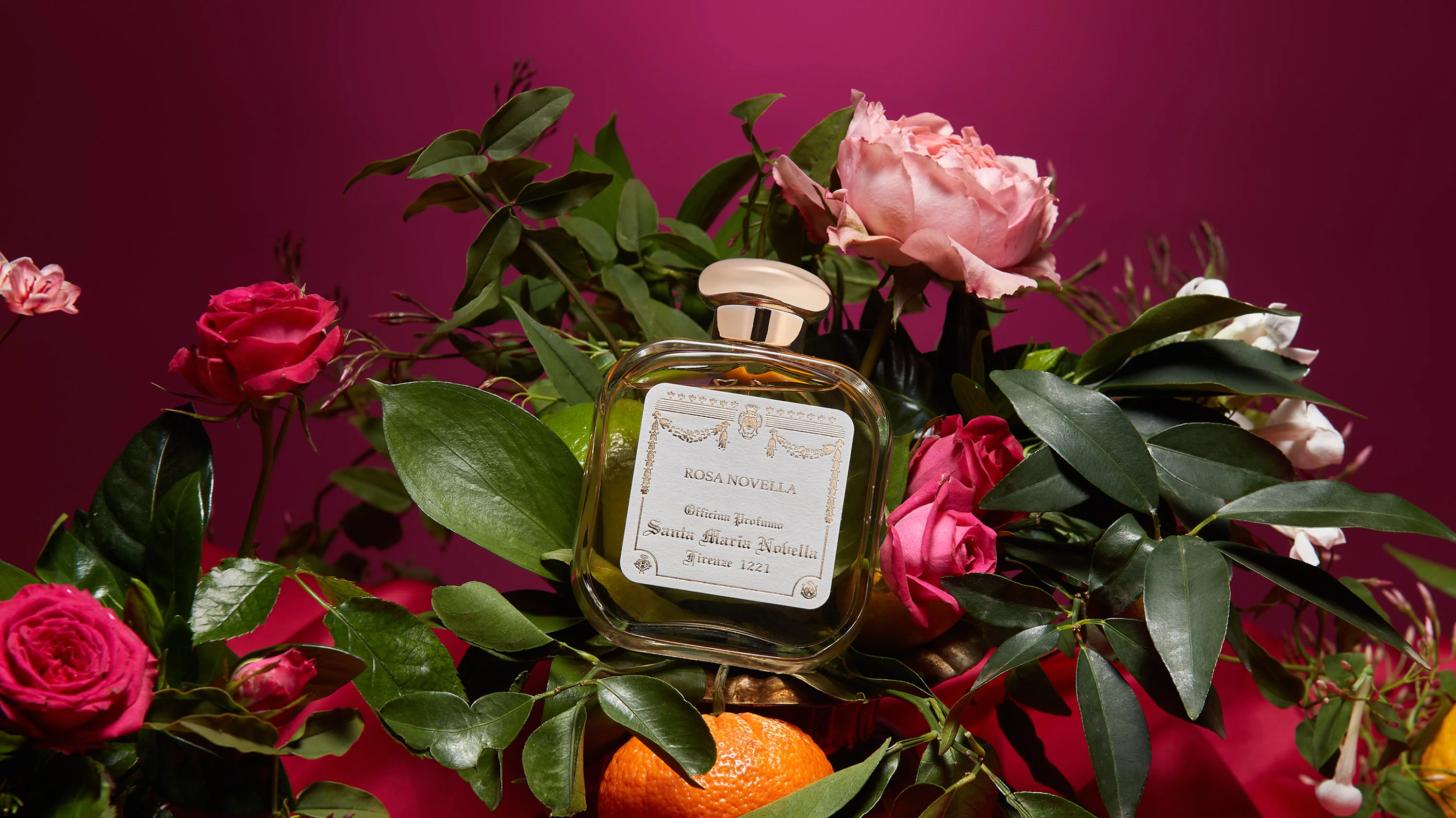 Rosa Novella - Image 2