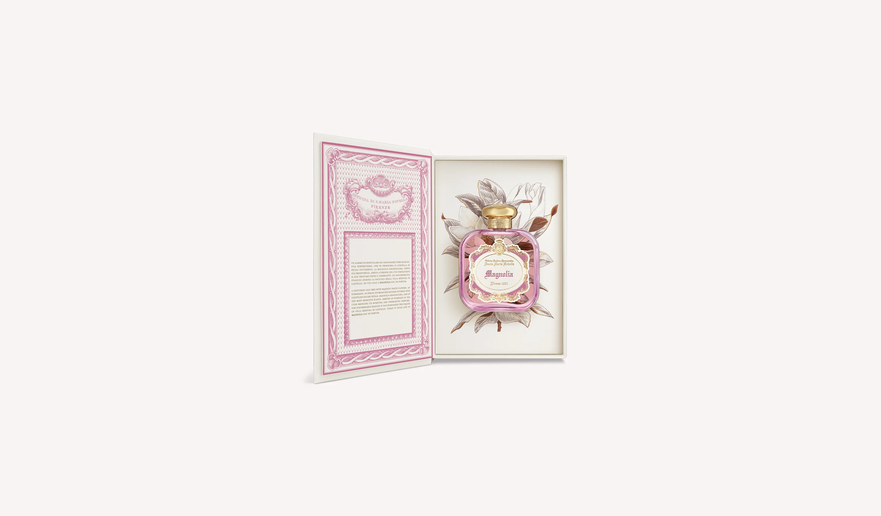 Magnolia - Image 5